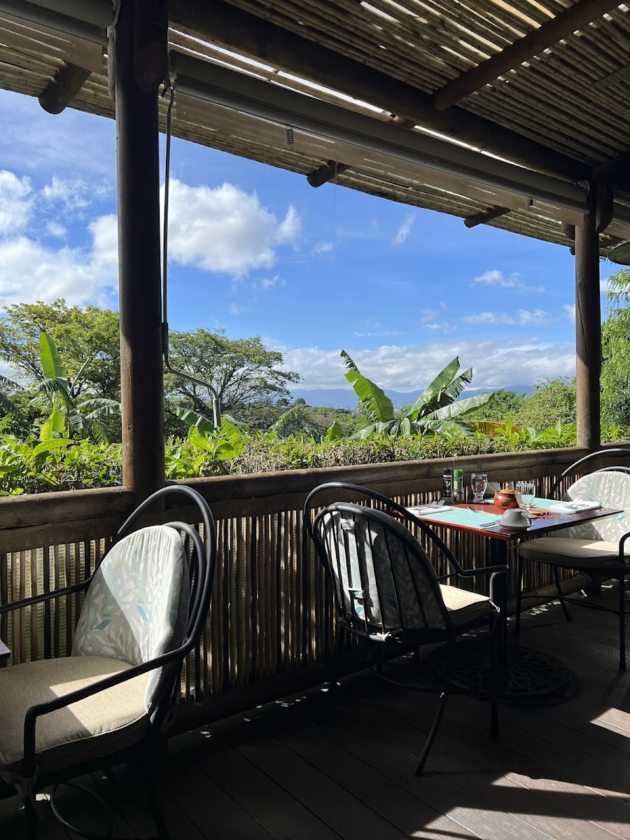 Restaurante El Tigre Vestido-4